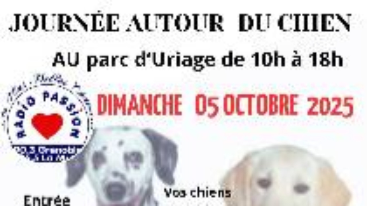 journee du chien journee du chien