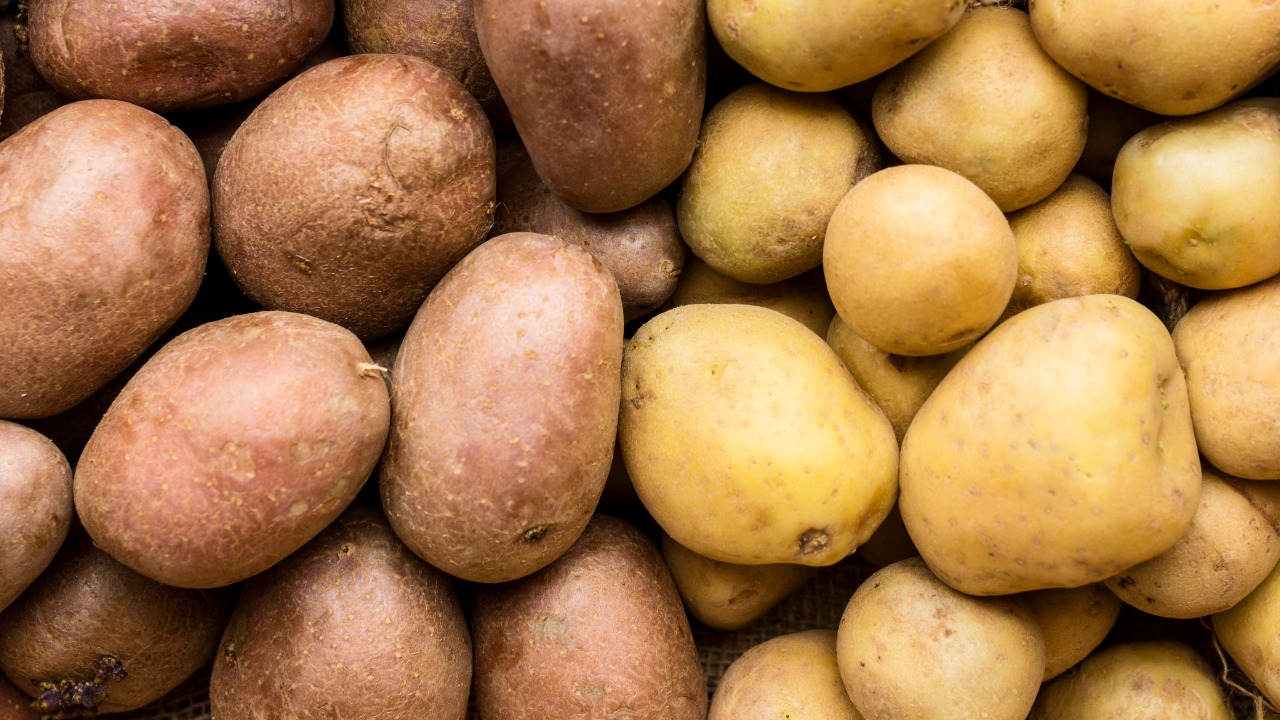 Fête de la pomme de terre du Pays de Craponne Fête de la pomme de terre du Pays de Craponne