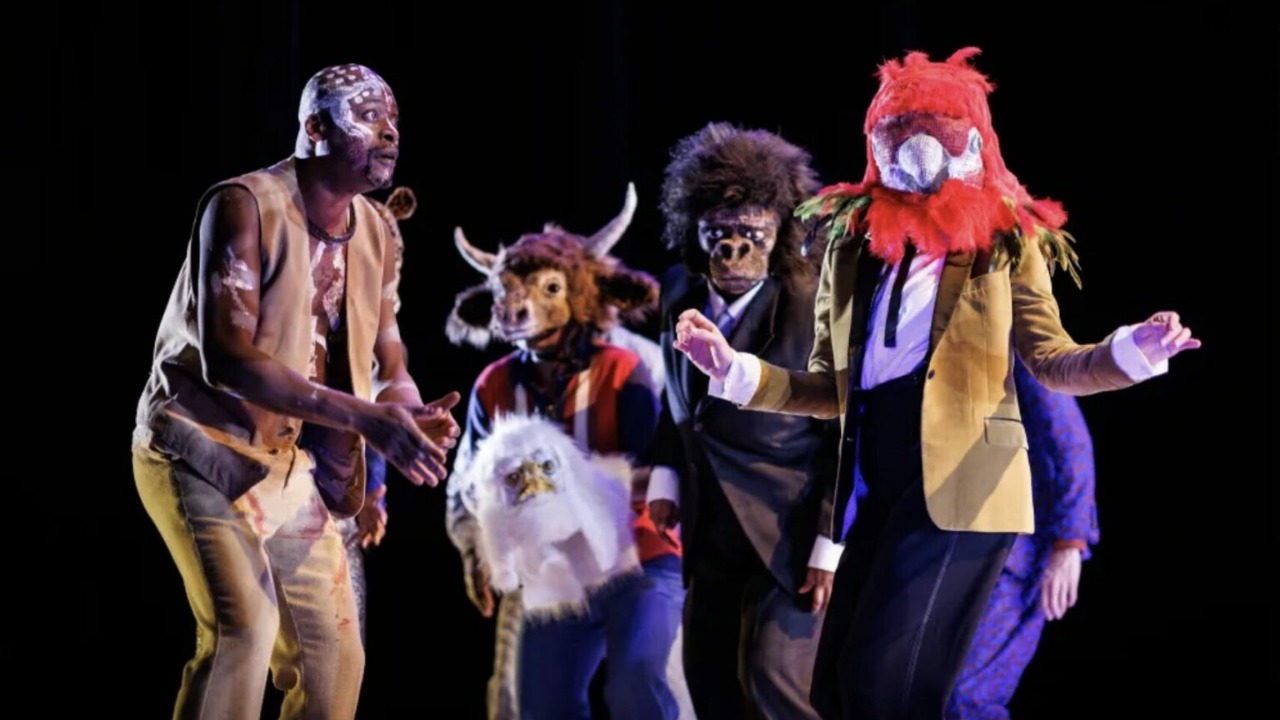 Spectacle Opération Rumba