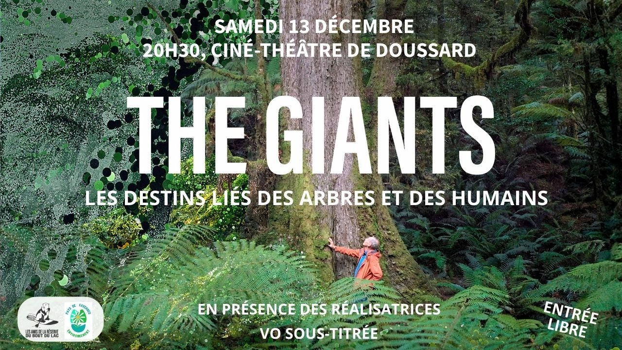 Projection du film "The Giants" au ciné-théâtre de Doussard Projection du film "The Giants" au ciné-théâtre de Doussard