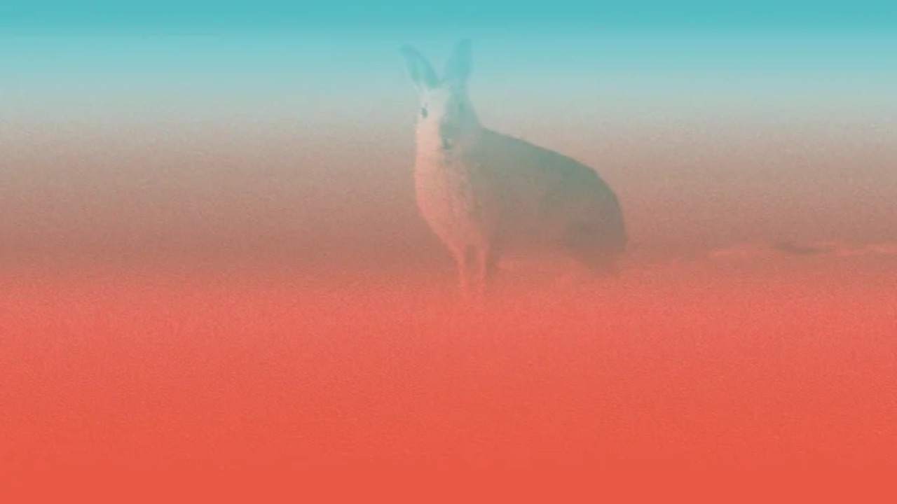 Grenoble. Visite guidée de l'exposition "Rouge comme neige" Grenoble. Visite guidée de l'exposition "Rouge comme neige"