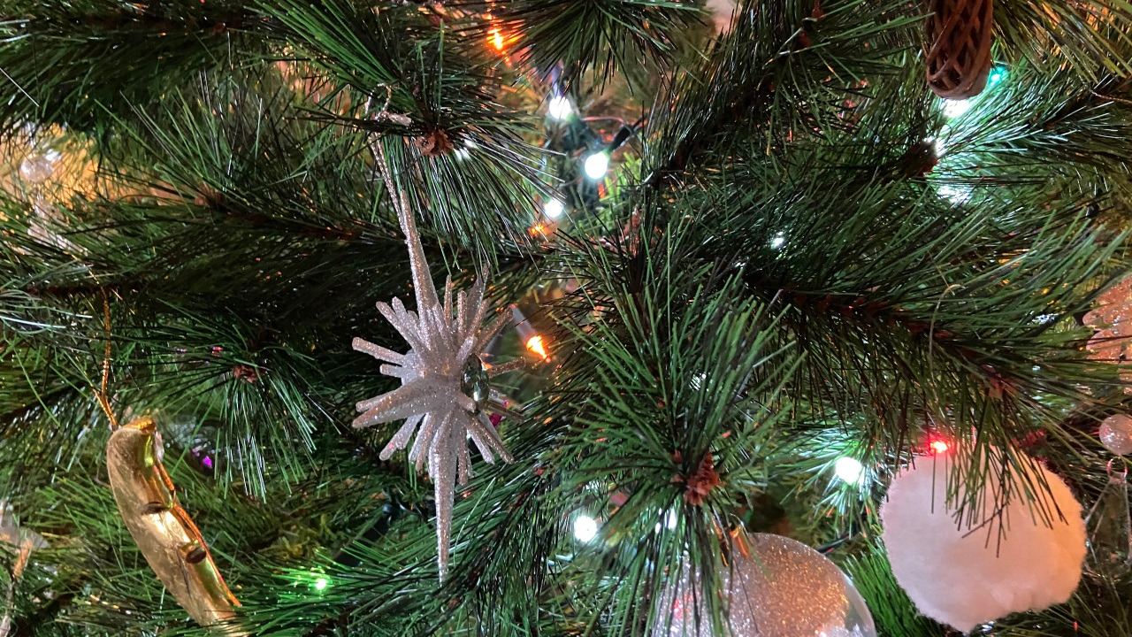 Arbre de No&euml;l de Reignat