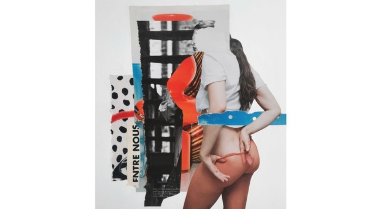 Grenoble. L'exposition Collages de Cecileski