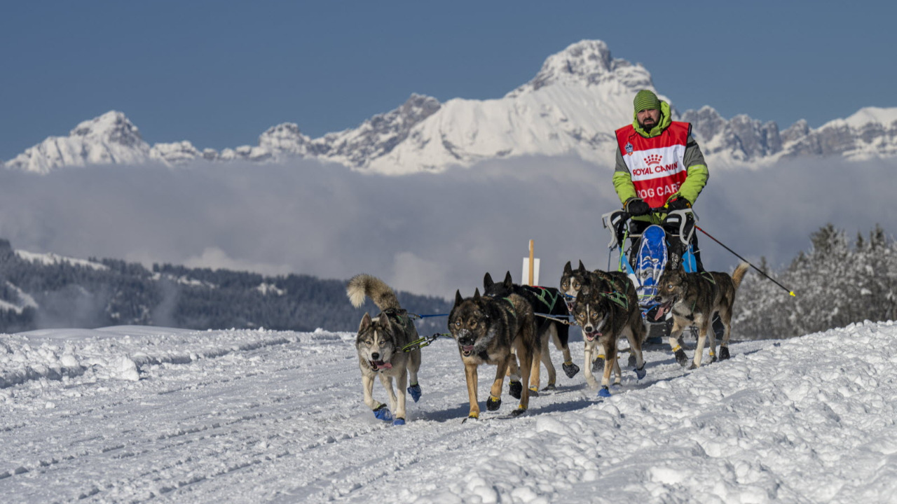La Grande Odyss&eacute;e Royal Canin au Col de Porte