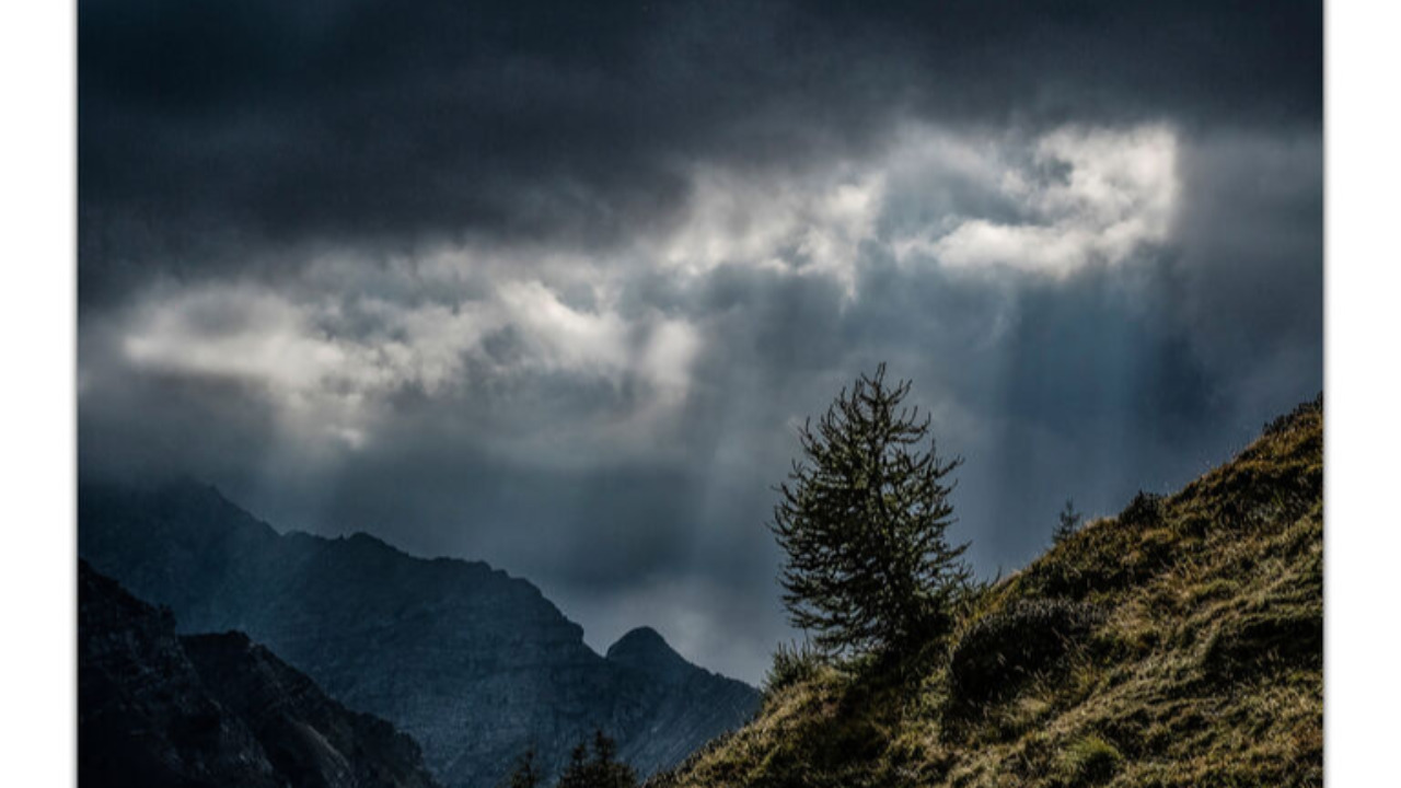 Vernissage de l’exposition photo Nature sauvage Vernissage de l’exposition photo Nature sauvage