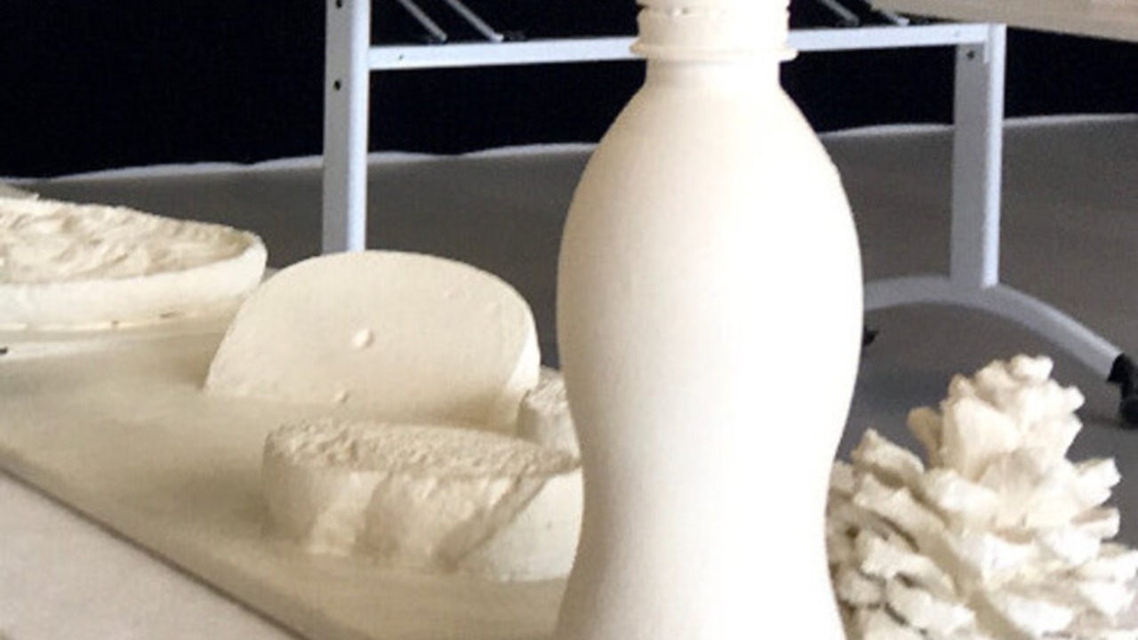 Exposition &ldquo;La Nature au bout des doigts&rdquo; : une immersion tactile avec P&eacute;n&eacute;lope