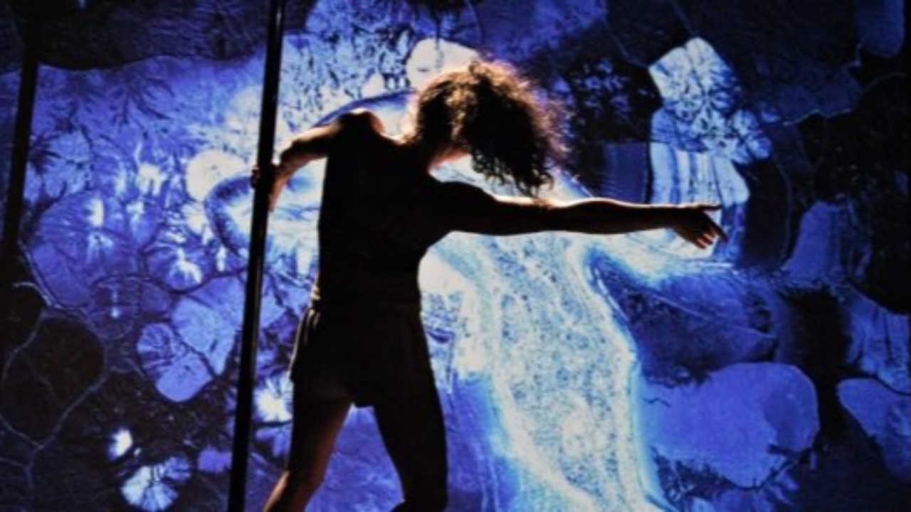 Oyonnax. Un spectacle de danse et d'arts num&eacute;riques