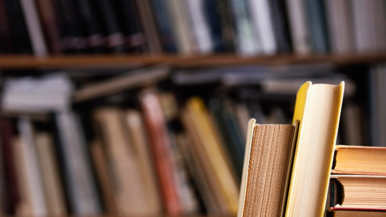 Nantua. Le salon du livre au Mus&eacute;e de la R&eacute;sistance et de la D&eacute;portation