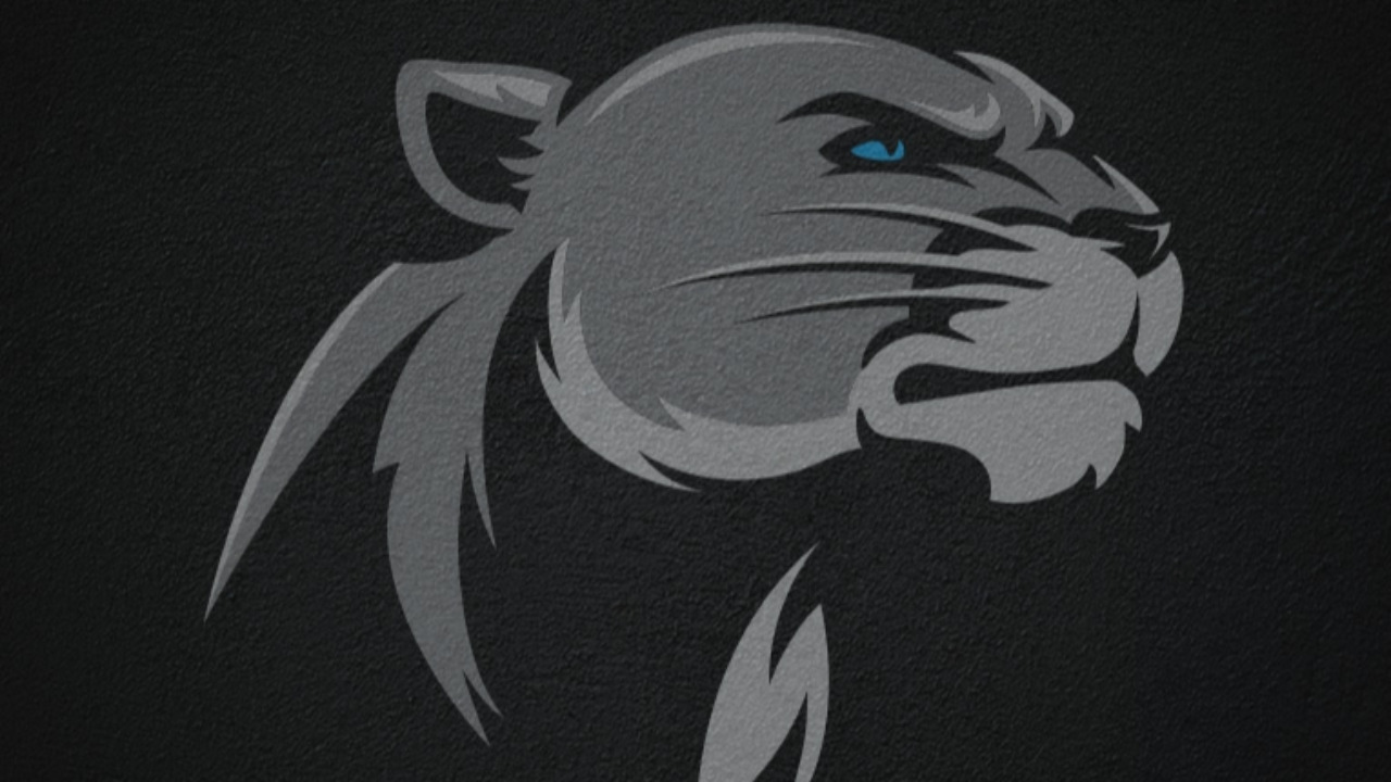 Black Panthers vs. Titans