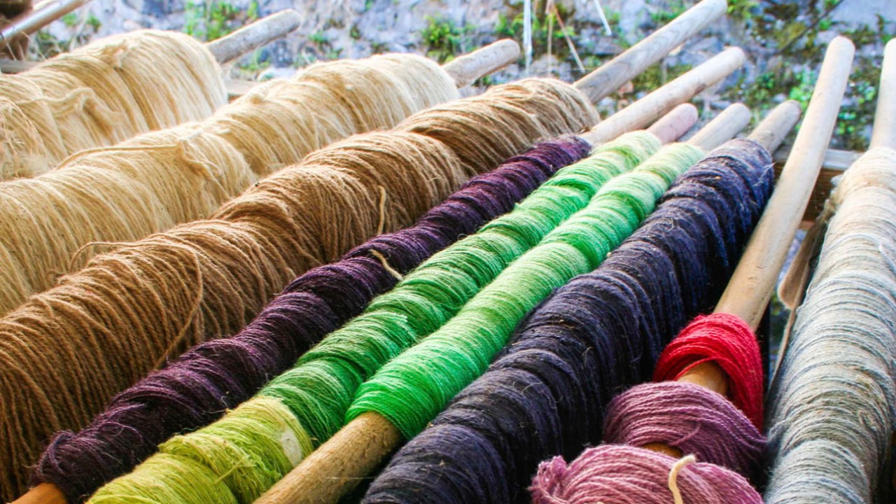 La laine, le collectif et le temps long