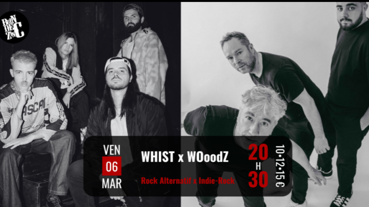 WooodZ en concert au Brin de Zinc WooodZ en concert au Brin de Zinc