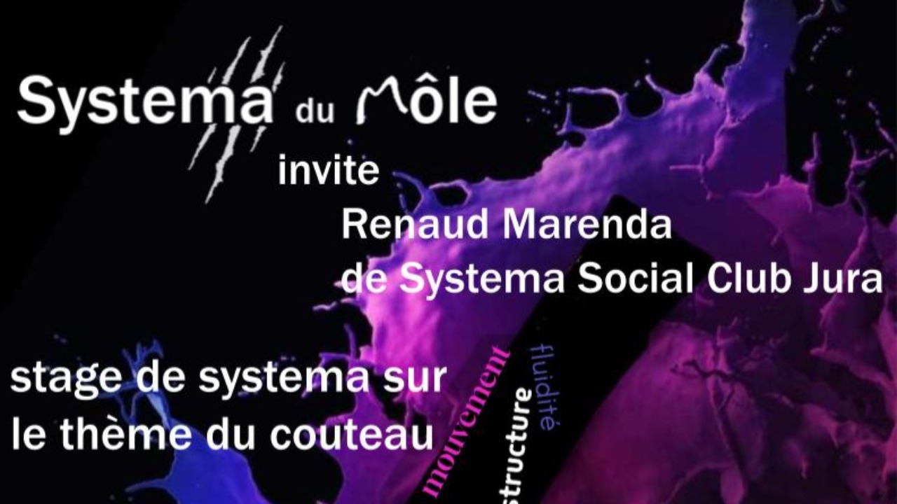 Stage de Systema : un week-end pour d&eacute;couvrir l&rsquo;art martial libre &agrave; Marignier