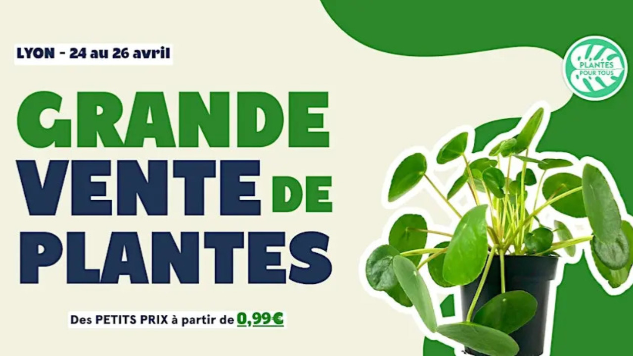 Grande Vente Plantes Pour Tous Grande Vente Plantes Pour Tous