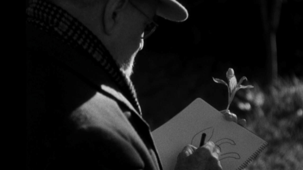 Un film sur Henri Matisse projeté au musée de Nice Un film sur Henri Matisse projeté au musée de Nice