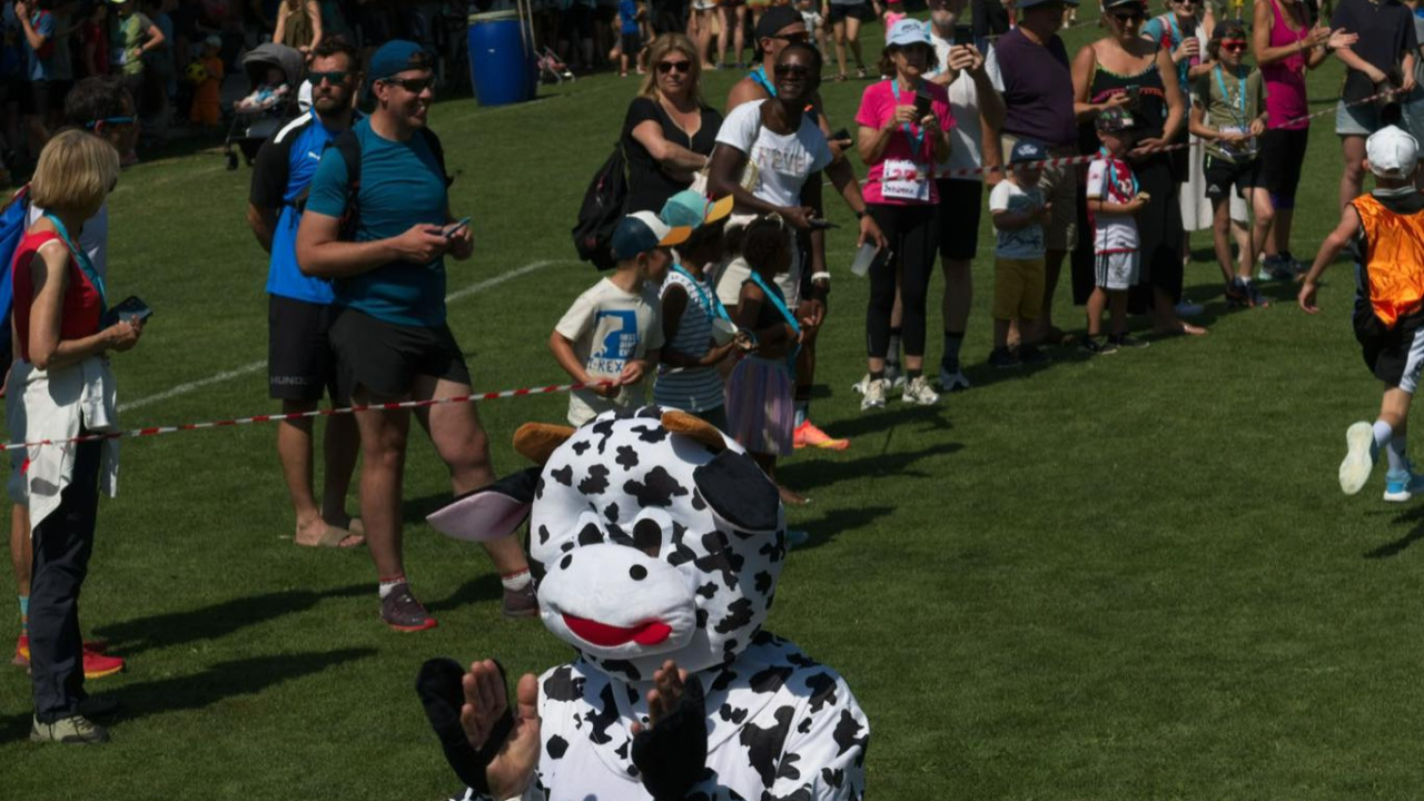 Dingo Trail des Familles