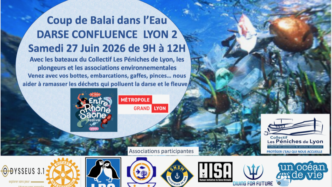 Lyon : le &laquo; Coup de balai dans l&rsquo;eau &raquo; mobilise citoyens et plongeurs &agrave; la Confluence
