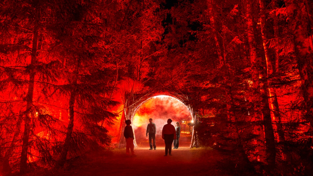 Saint-Ours. Une expérience nocturne immersive Saint-Ours. Une expérience nocturne immersive