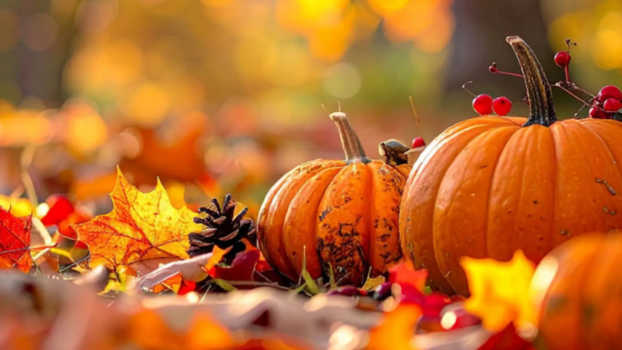 Cluses. Une fête de l'automne Cluses. Une fête de l'automne