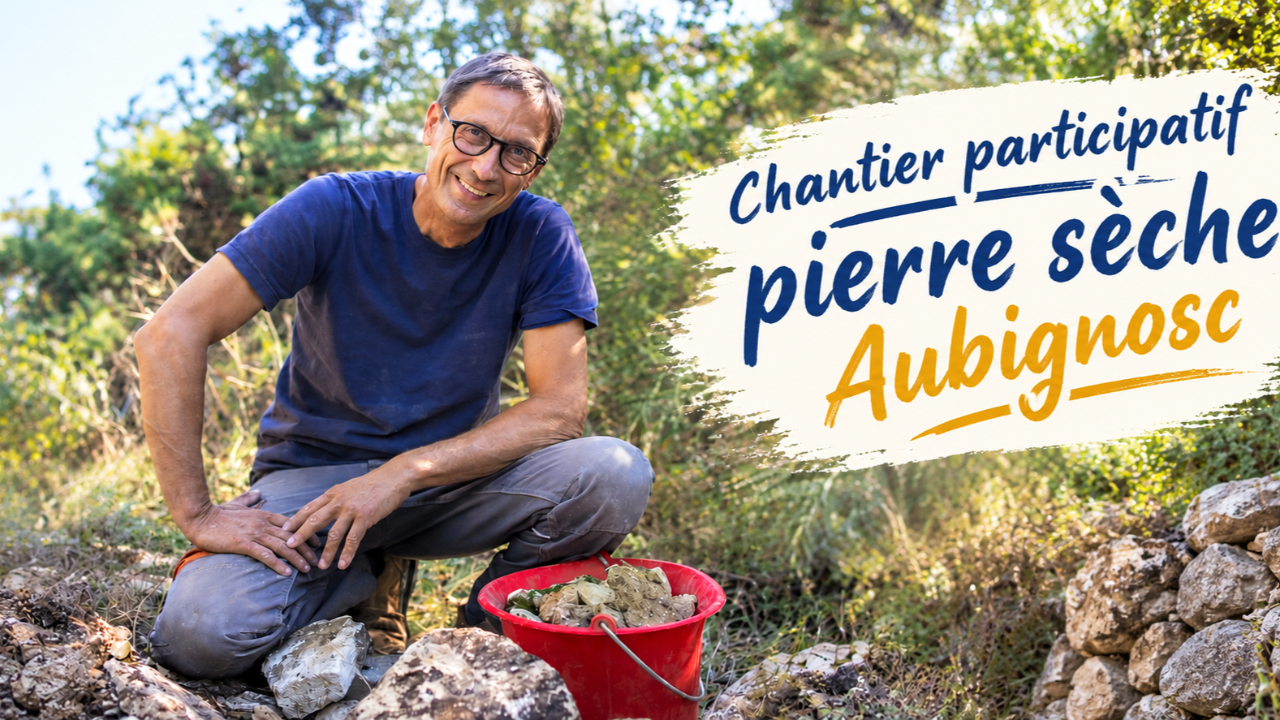 Aubignosc. Le retour de "Paroles de pierres"
