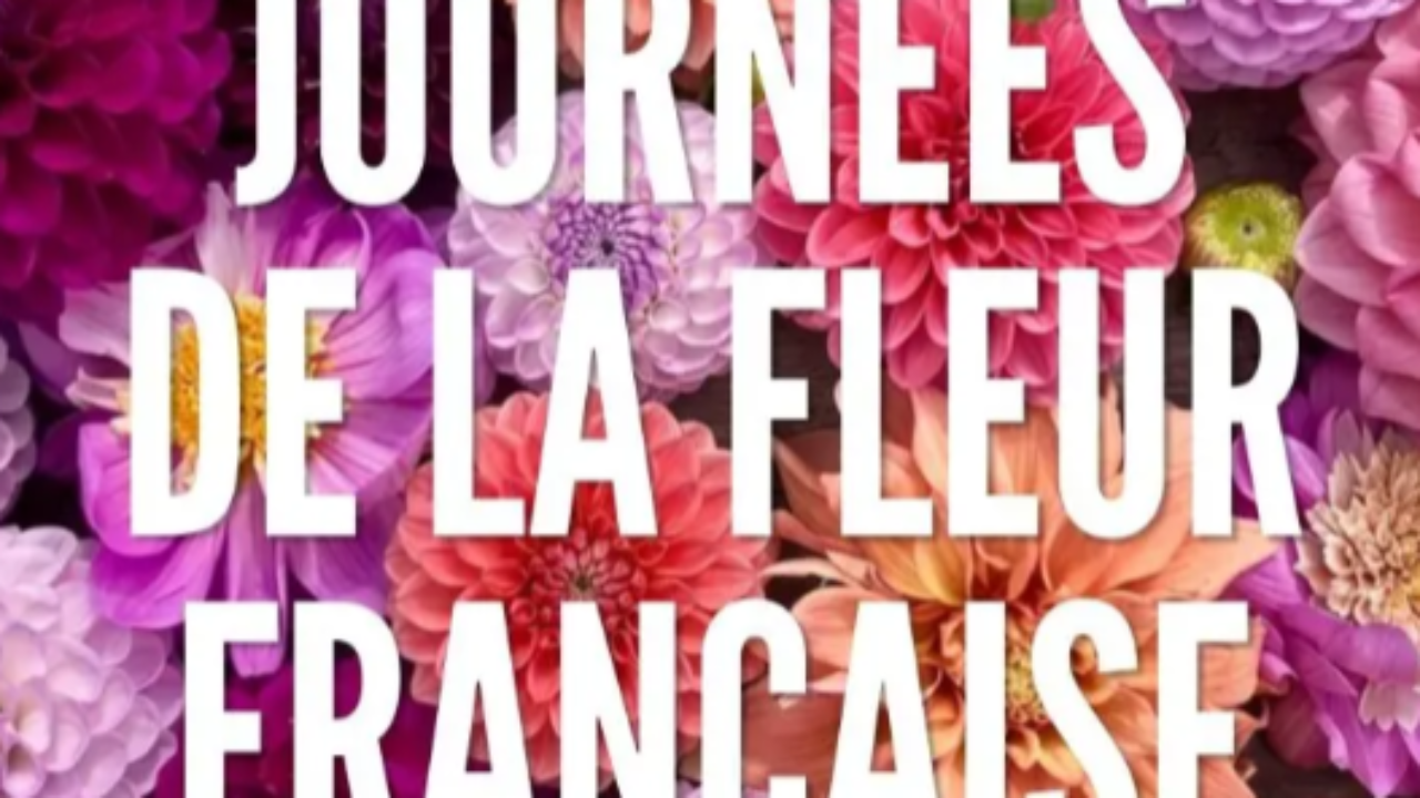 Cusset. Place aux 6e Journées de la Fleur Française Cusset. Place aux 6e Journées de la Fleur Française