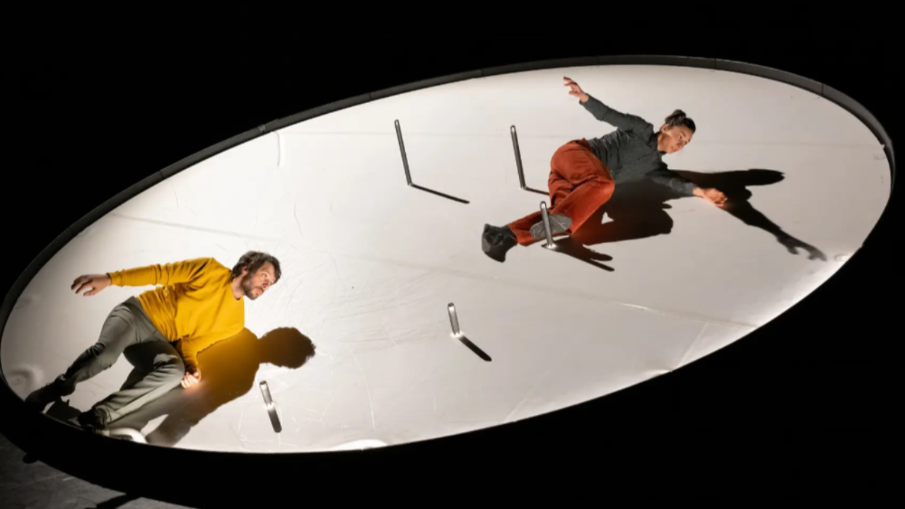Cusset. Un spectacle qui va vous donner le tournis Cusset. Un spectacle qui va vous donner le tournis