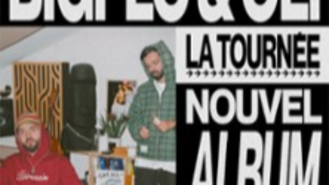 Un concert de Bigflo et Oli