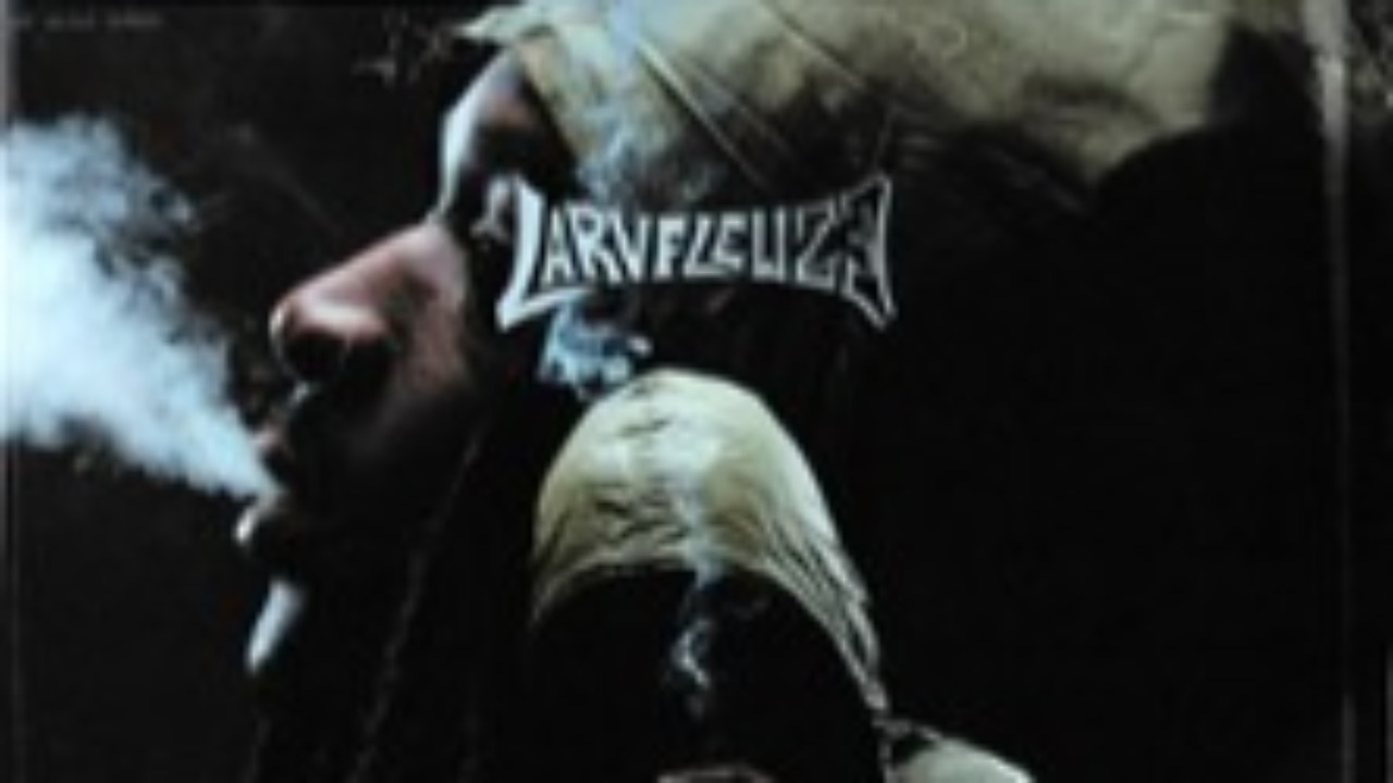 La Rvfleuze débarque au Transbordeur pour un concert explosif La Rvfleuze débarque au Transbordeur pour un concert explosif