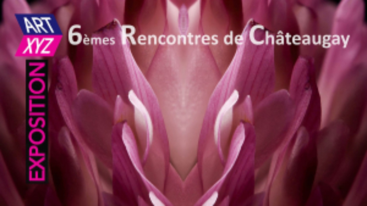 Derniers jours pour d&eacute;couvrir les Rencontres de l'Art Contemporain de Ch&acirc;teaugay